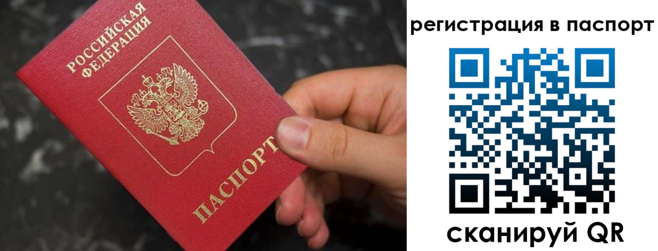 прописка регистрация в Нелидово