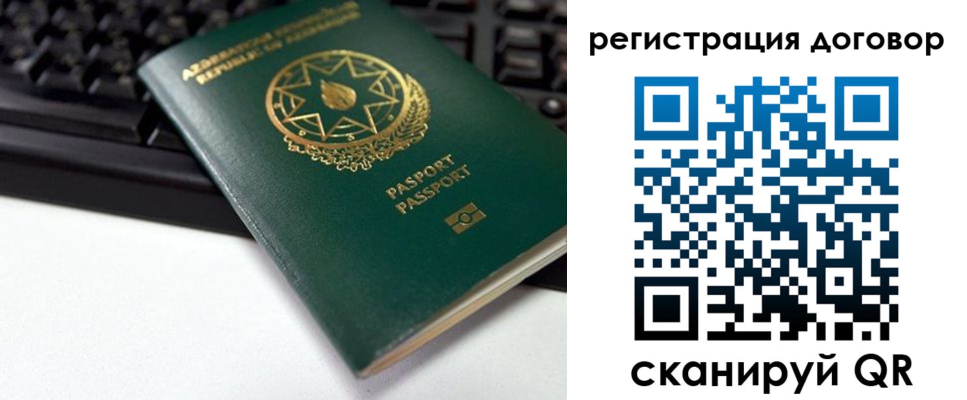 прописка поиск в Нелидово